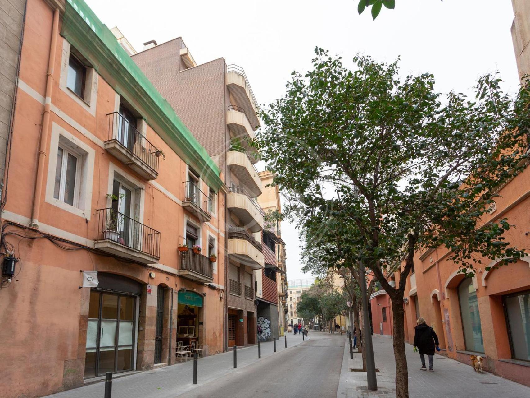 Bonito Apartamento En Gracia Barcelona Eksteriør bilde